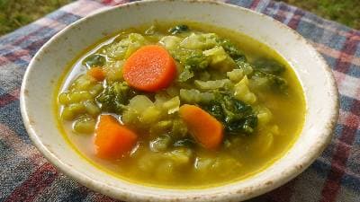 Vegetable Soup Fiona