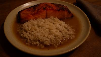 Salmon and Rice from Marco